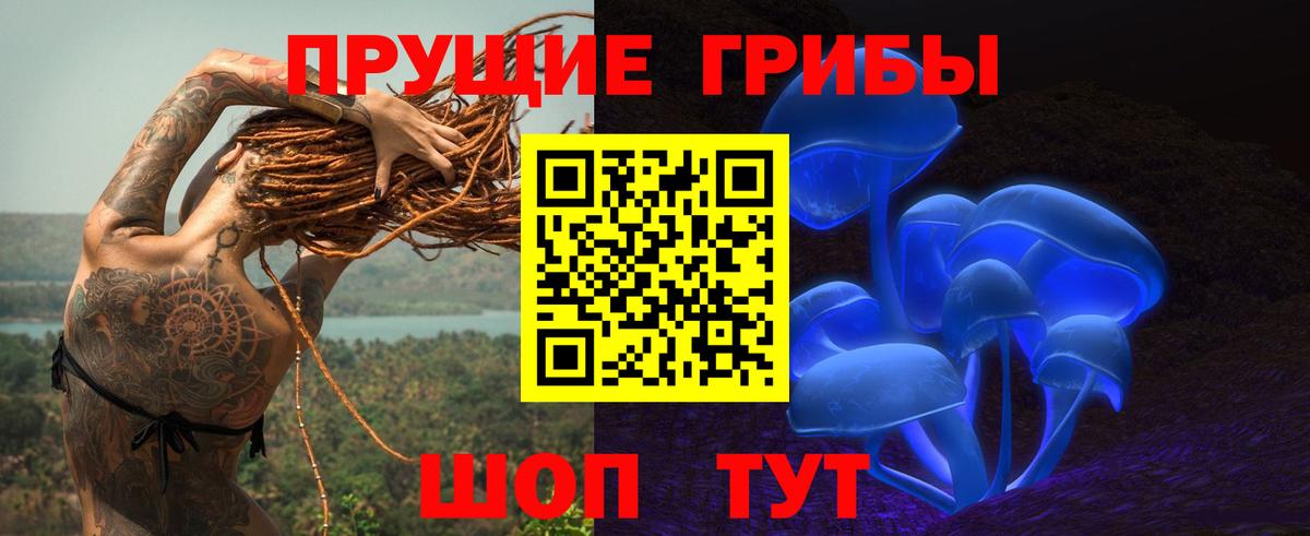 Псилоцибиновые грибы Magic Shrooms Касимов