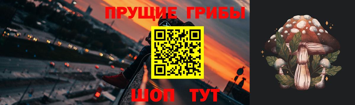 Касимов  Галлюциногенные грибы MAGIC MUSHROOMS  Вход с VPN  Галлюциногенные грибы мухоморы 